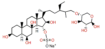 Attenuatoside S-III